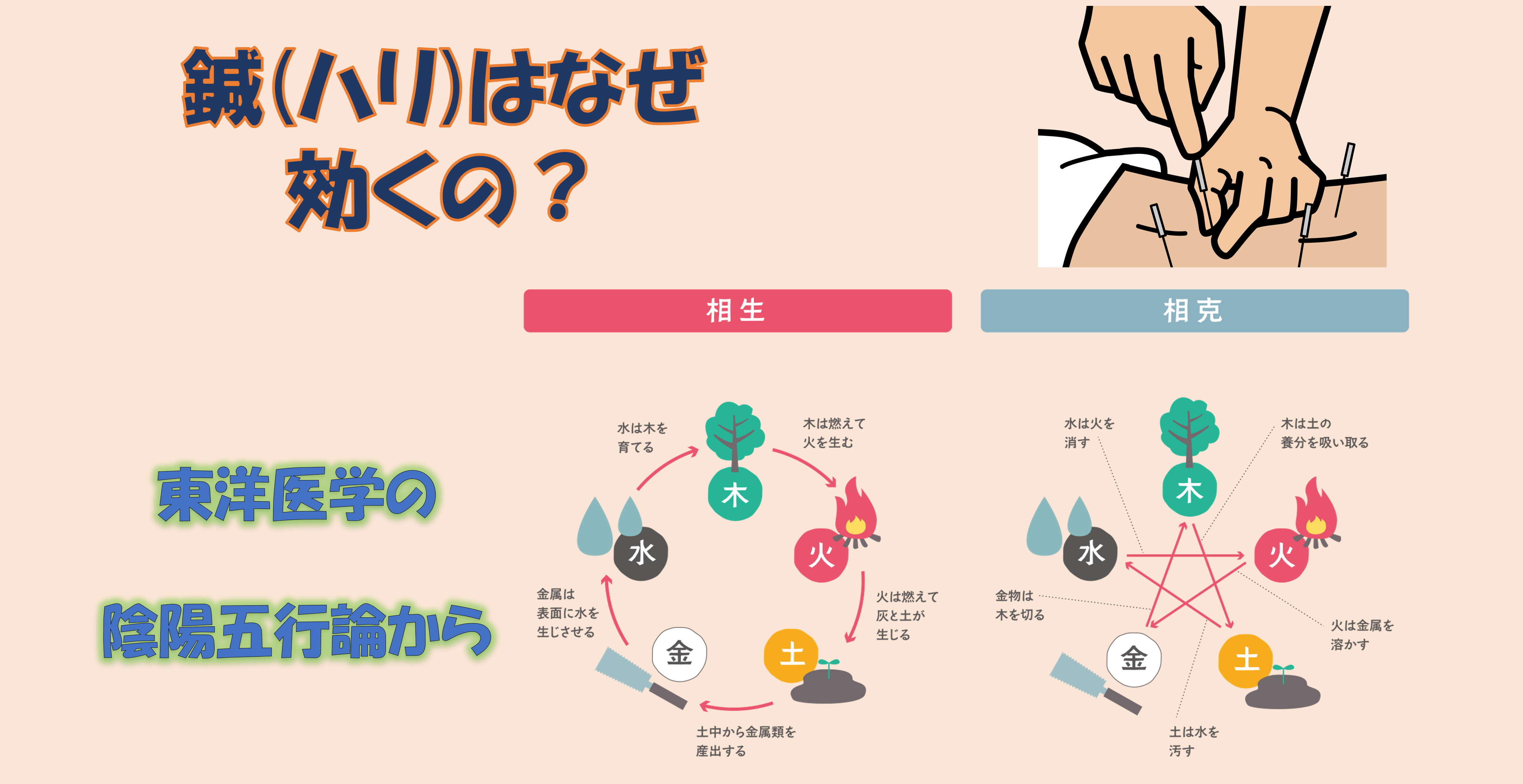 鍼(ハリ）はなぜ効くの？陰陽五行論から（東洋医学の考え方）｜東邦